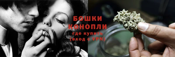 дживик Белоозёрский