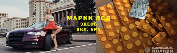 spice Богородск