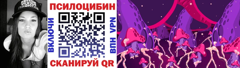 Псилоцибиновые грибы MAGIC MUSHROOMS  OMG как зайти  Высоковск 